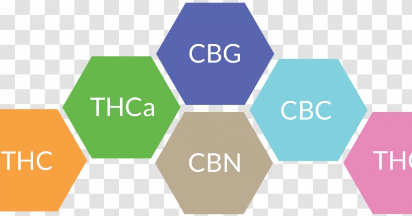 Cannabidiol Cannabinoid Cannabichromene Cannabis Cannabinol - Organization Transparent PNG