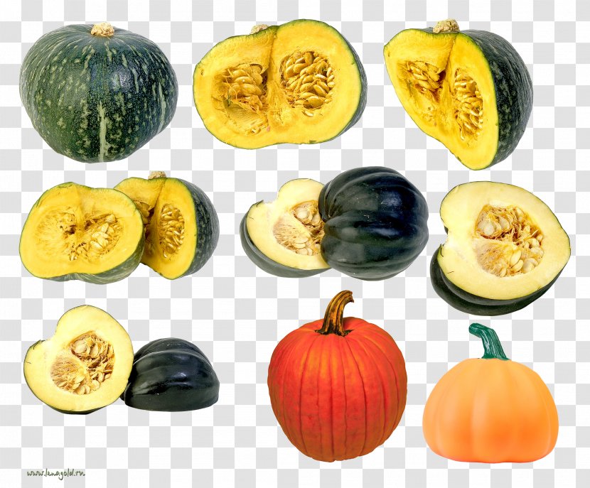 Pumpkin Calabaza Winter Squash Gourd Cucurbita - Cucumber And Melon Family Transparent PNG