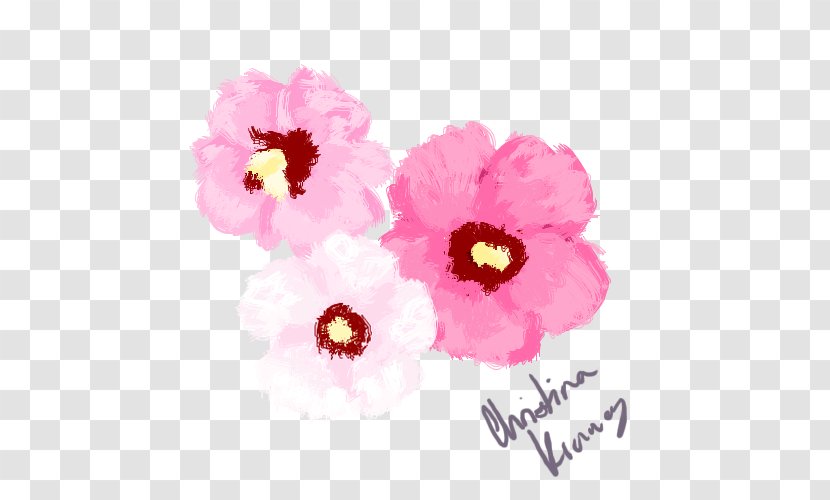 Mallows Common Hibiscus Painting Art Drawing - Mallow Family Transparent PNG