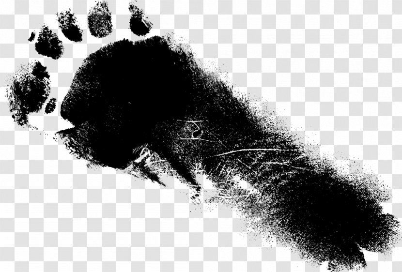 Black And White Footprint Monochrome Photography - Grunge Transparent PNG