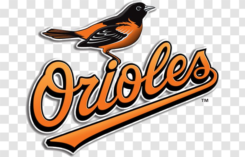 Oriole Park At Camden Yards Baltimore Orioles MLB Tampa Bay Rays Baseball Transparent PNG