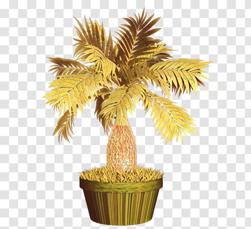 Image Date Palm Trees Plants - Film Editing - Tree Transparent PNG