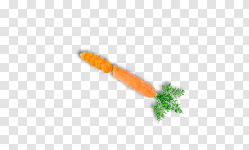 Carrot Hong Kong Vegetable Food Transparent PNG