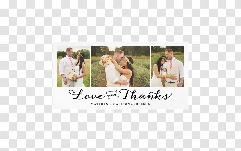Zazzle Wedding Invitation Marriage Photography - Collage Transparent PNG