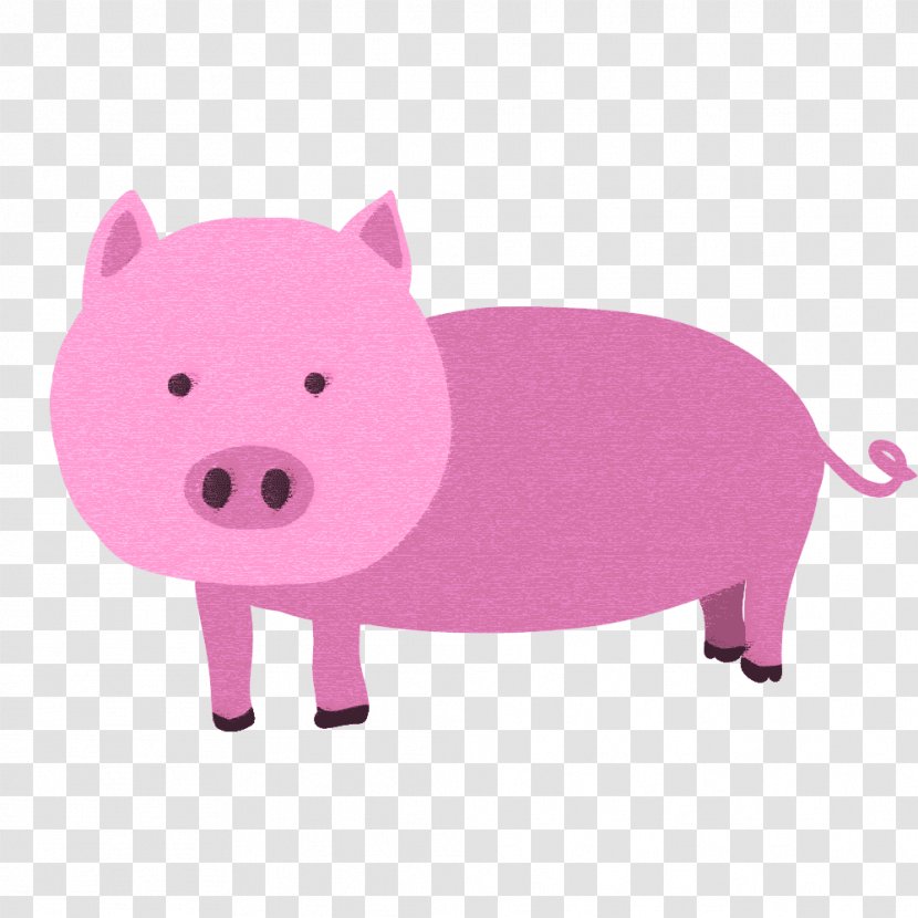 Domestic Pig Pork Clip Art - Bait Transparent PNG