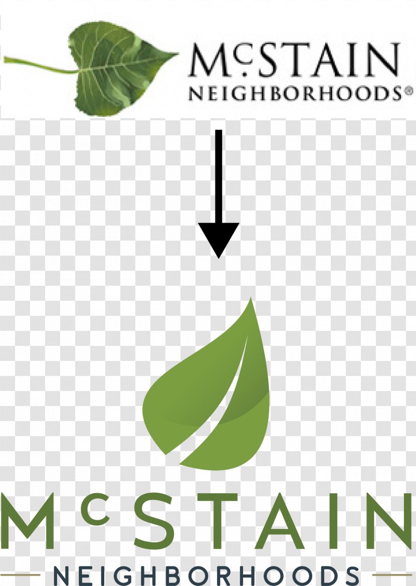 Leaf Logo Green Font Brand - Plant Stem Transparent PNG