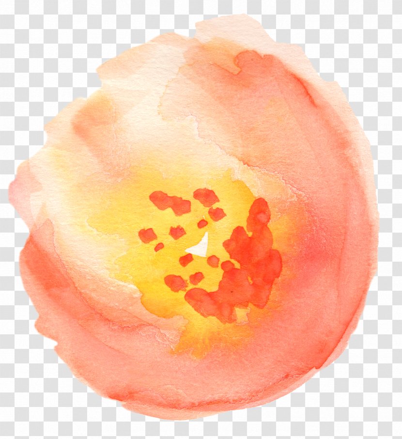 transparent watercolor painting flower clip art milk tea transparent png transparent watercolor painting flower