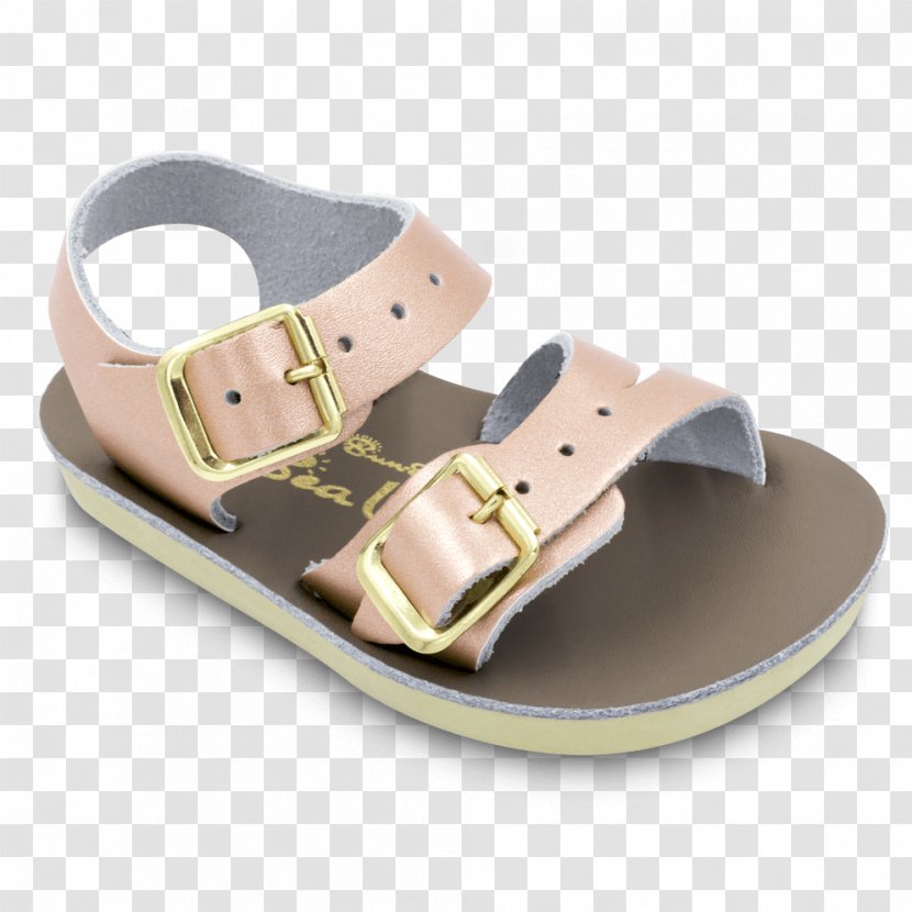 Saltwater Sandals Shoe Buckle Sea - Tree - Sandal Transparent PNG