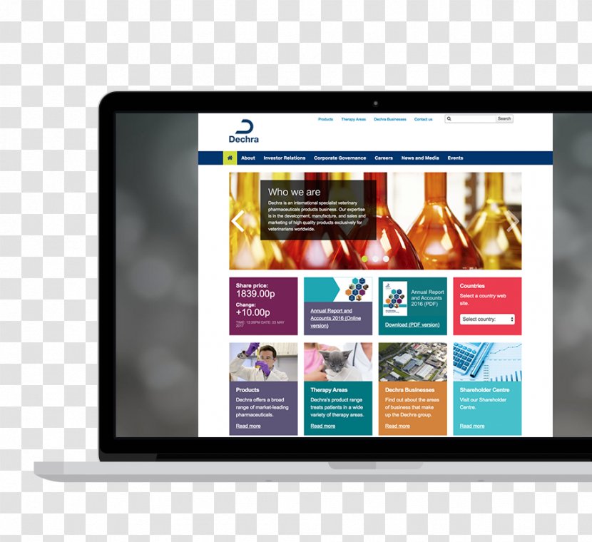 Display Advertising Online Digital Journalism Web Page New Media - Sika Deer Transparent PNG
