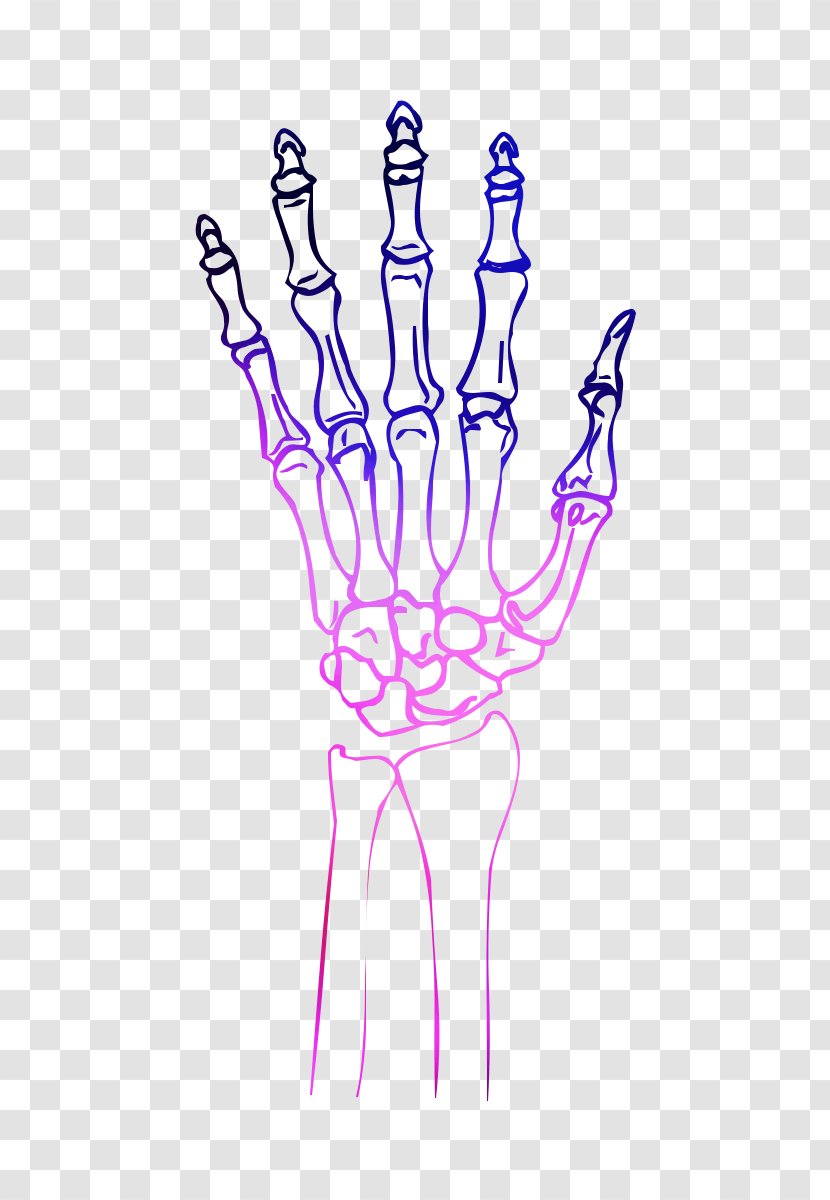 Illustration Human Behavior Clip Art Point Tree - Joint Transparent PNG