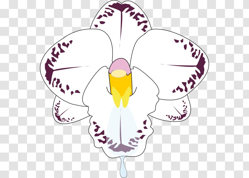 Petal Dendrobium Orchids Clip Art - Flora - Cartoon Orchid Transparent PNG