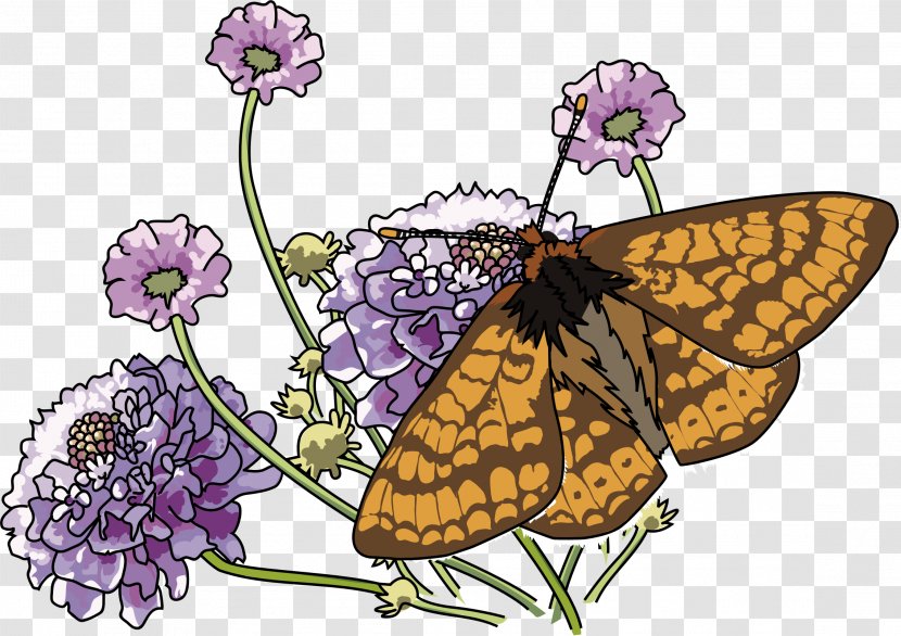 Butterfly Marsh Fritillary Clip Art - Royaltyfree Transparent PNG