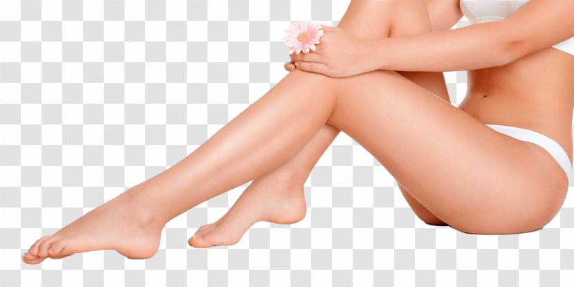 Plastic Surgery Human Body Beauty Abdominoplasty - Heart - Women's Legs Close-up Transparent PNG