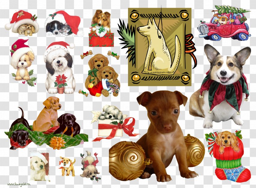 Dog Puppy Pet New Year - 2018 Transparent PNG