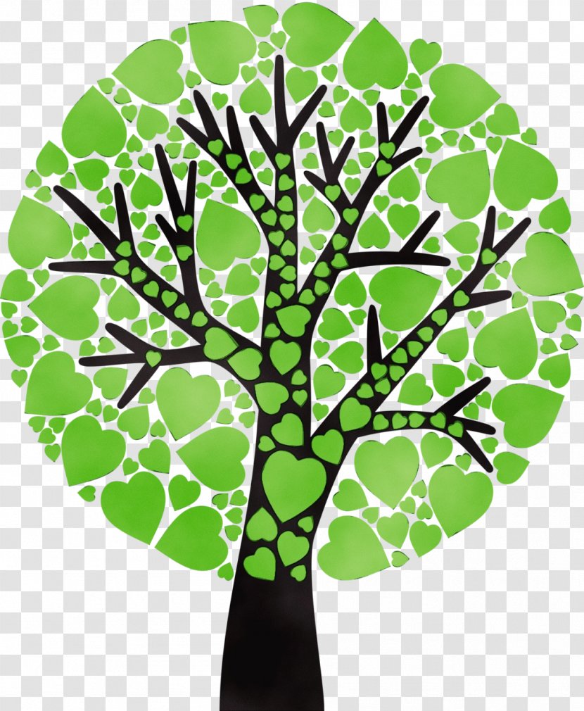 Green Leaf Tree Plant Clip Art - Branch Woody Transparent PNG