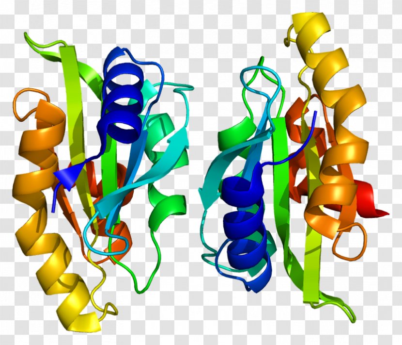 TWF1 Modernists At Odds: Reconsidering Joyce And Lawrence Protein Gene Actin - Frame - Watercolor Transparent PNG