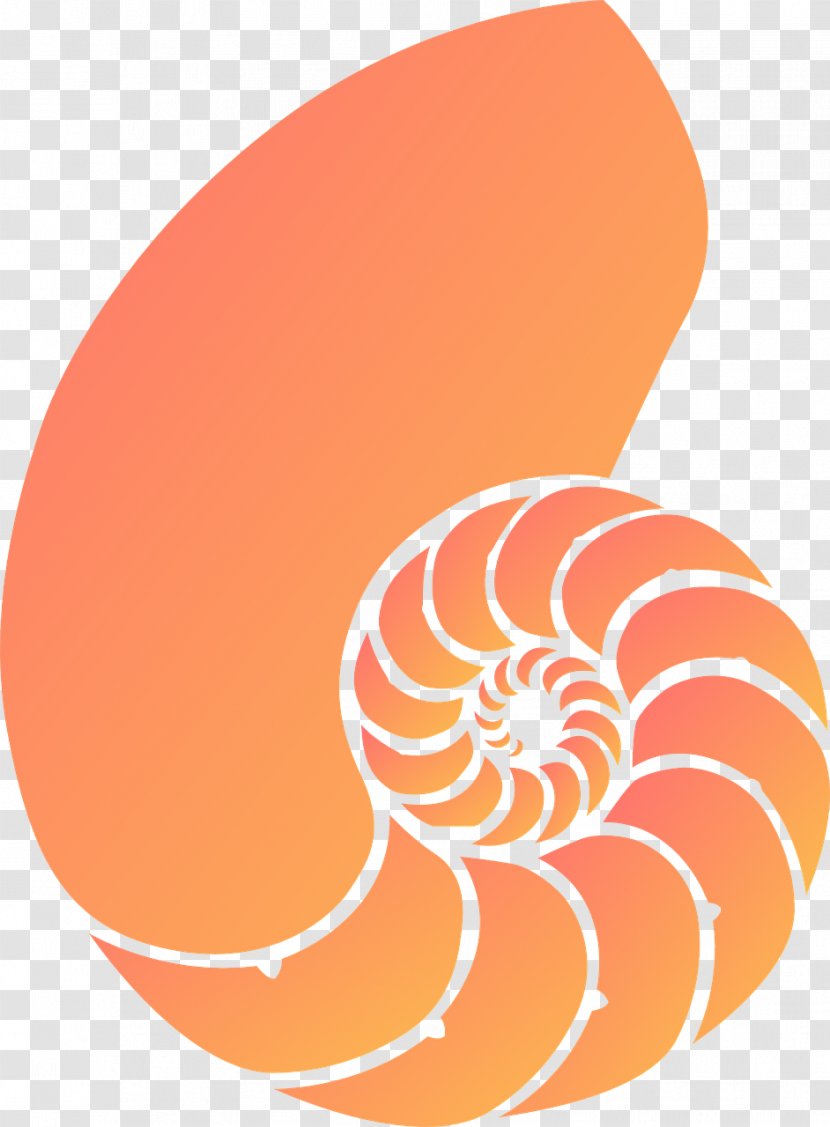 Seashell Nautilidae Coral Clip Art - Seahorse Transparent PNG