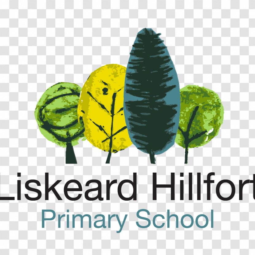 Hillfort Primary School Falmouth Elementary Bodmin - Organism - Príncipe Transparent PNG