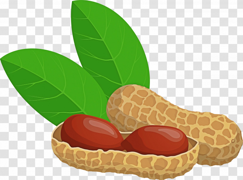 Peanut Legume Fruit Food Leaf Transparent PNG