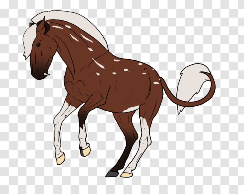 Mustang Foal Stallion Mare Colt - Horse Harness Transparent PNG