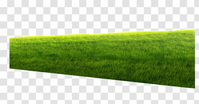 Lawn Green Design Artificial Turf Image - Grass - Meadow Transparent PNG