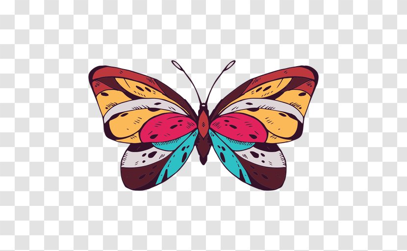 Monarch Butterfly Insect Color Drawing - Dragonfly Transparent PNG