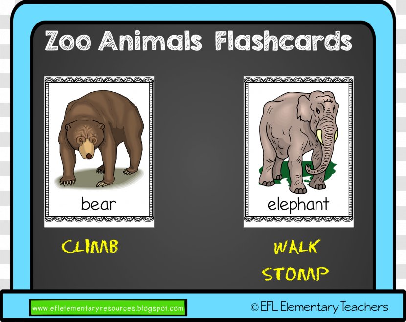 Indian Elephant Flashcard English As A Second Or Foreign Language Teacher Bear - Zoo Transparent PNG