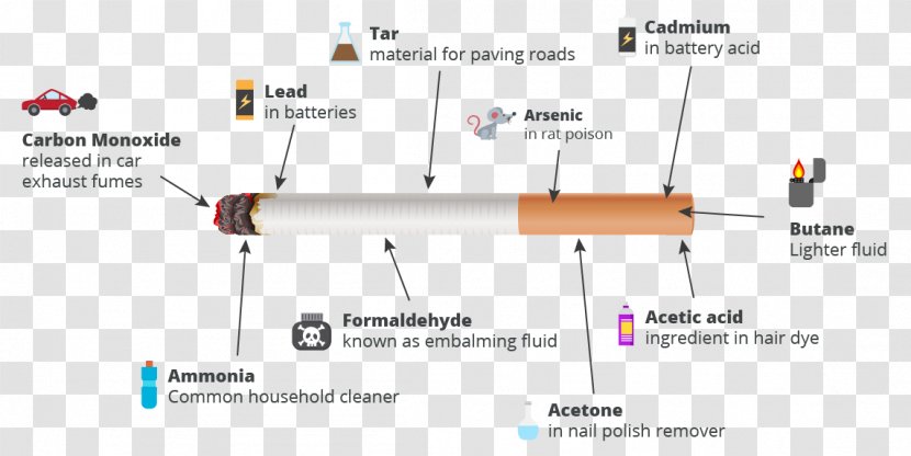 Smoking Facts Tobacco Cigarette - Control Transparent PNG