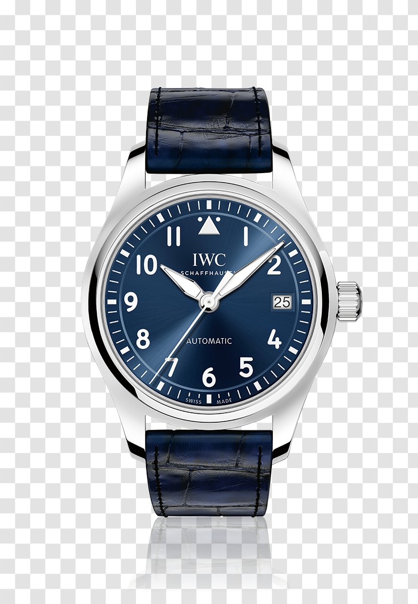 Schaffhausen International Watch Company Jewellery Swatch - Brand Transparent PNG