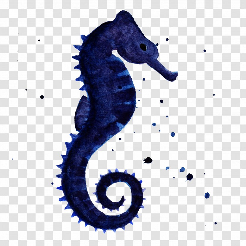 Seahorse Aquatic Animal Syngnathiformes - Ink Transparent PNG