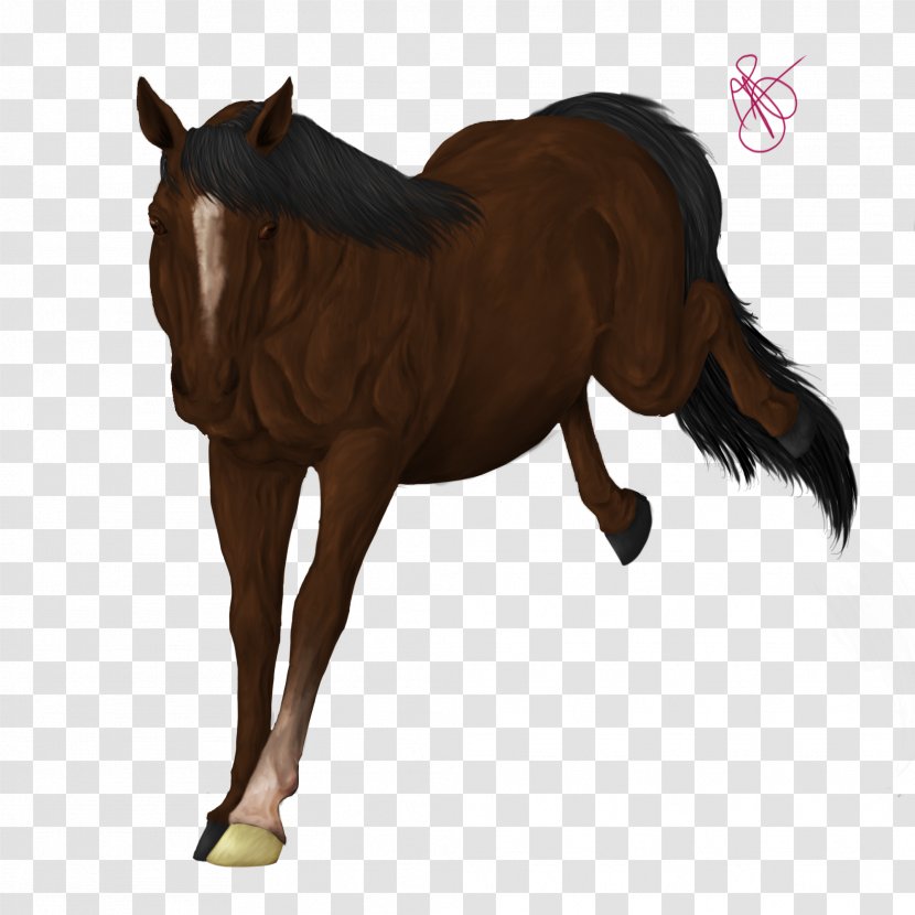 Foal Mane Mustang Rein Stallion - Pack Animal - Horse Transparent PNG