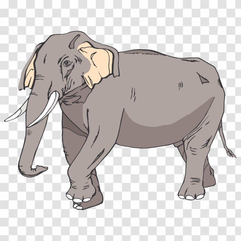 Asian Elephant Clip Art - Wildlife - Elephants Transparent PNG