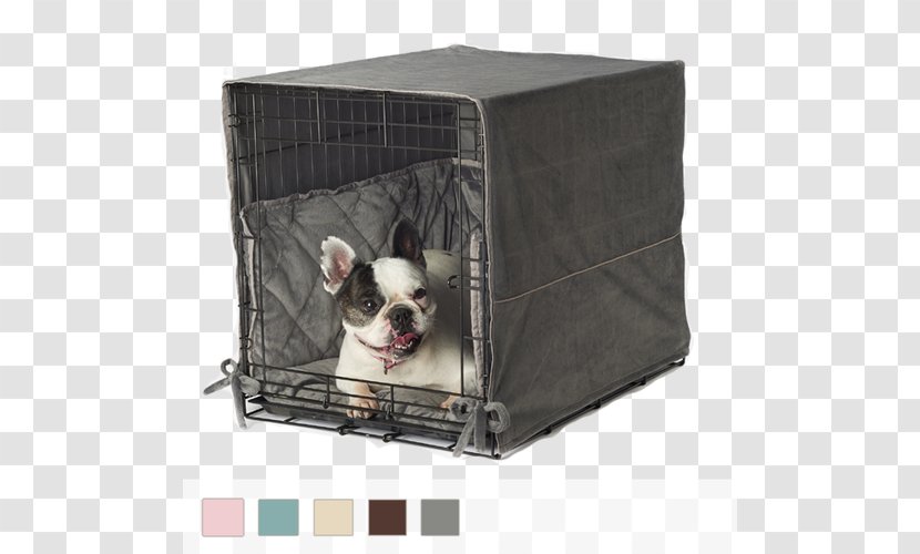 Boston Terrier French Bulldog Dog Breed Crate Transparent PNG