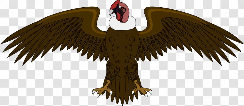Coat Of Arms Colombia Andean Condor Andes - Bird - Love Transparent PNG