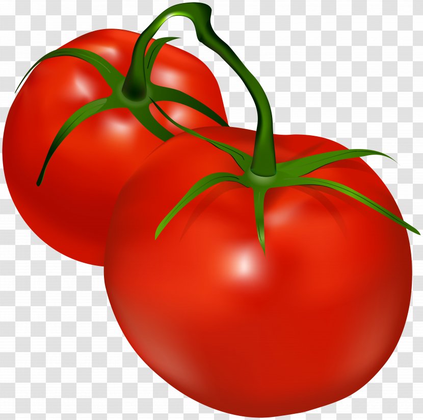 Tomato Shalgam Clip Art - Potato And Genus - Tomatoes Transparent Transparent PNG