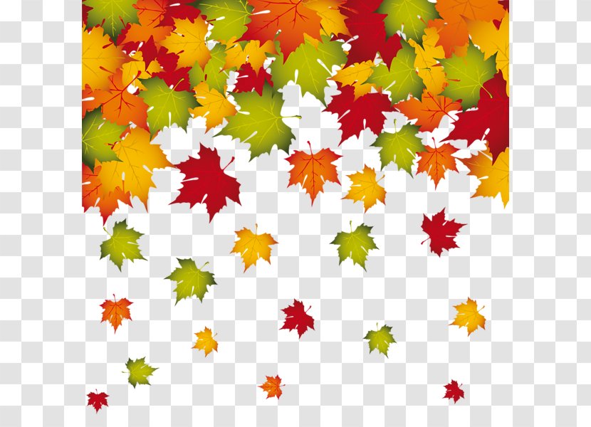 Autumn Leaf Color - Falling Leaves Border Transparent PNG