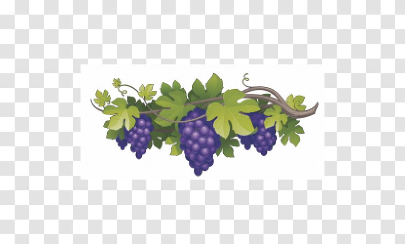 Wine Clubs Common Grape Vine - Grapevines Transparent PNG