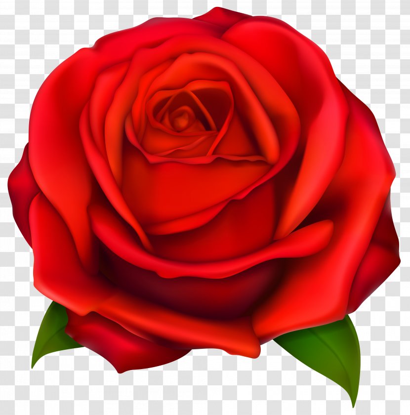 Rose Clip Art - Petal - Transparent Red Clipart Transparent PNG