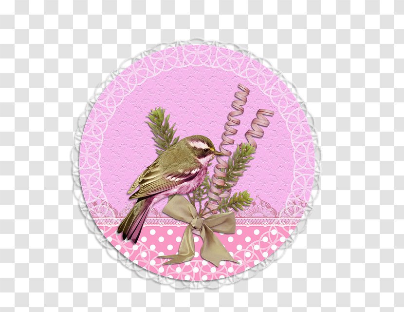 Paper Pink Label Sticker - Bird - Box Transparent PNG