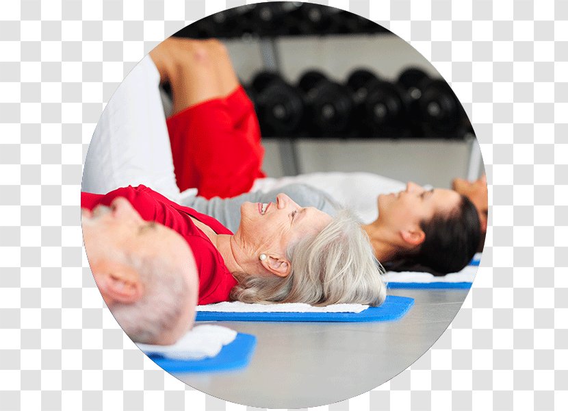 Pilates Exercise Balls Fitness Centre Physiology - Arm - Pelvic Floor Transparent PNG