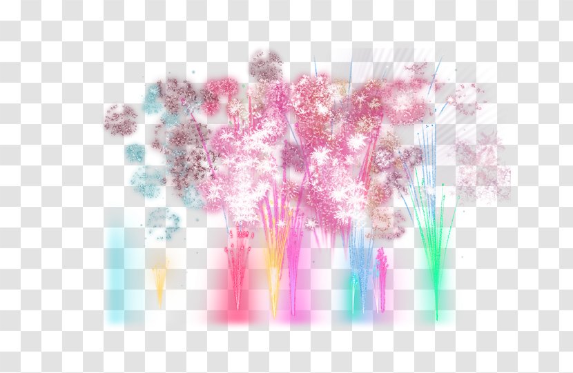 Flower - Pink - Fireworks Transparent PNG