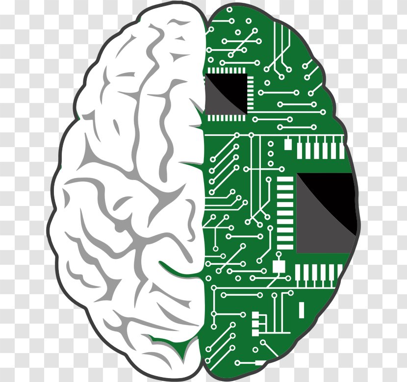 Brain–computer Interface Human Brain - Frame Transparent PNG