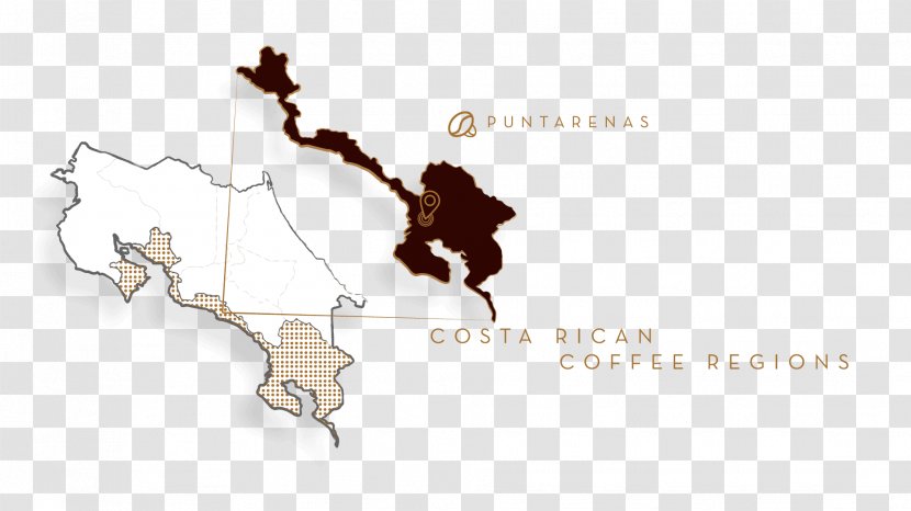 Puntarenas Limón Map Can Stock Photo Transparent PNG