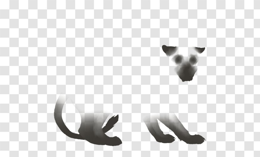 Dog Cat Snout - Canidae - Storm Feather Color Transparent PNG