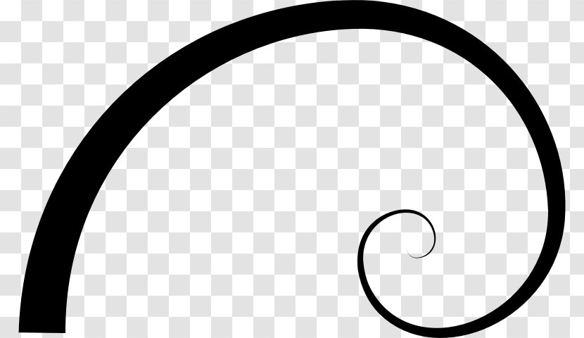 Golden Circle - Fibonacci - Blackandwhite Transparent PNG