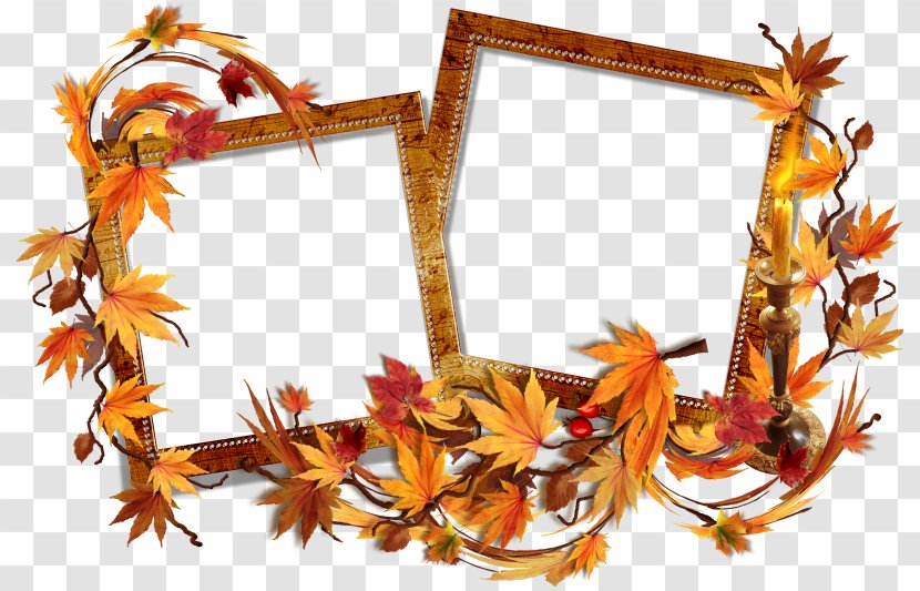 Picture Frames Autumn Painting Blog - Leaf Transparent PNG