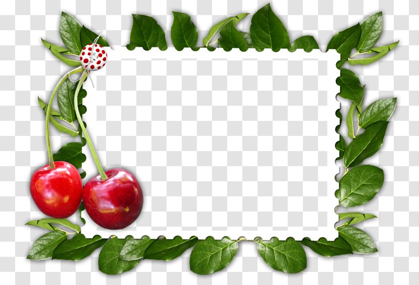 Cherry Picture Frames Clip Art - Natural Foods Transparent PNG