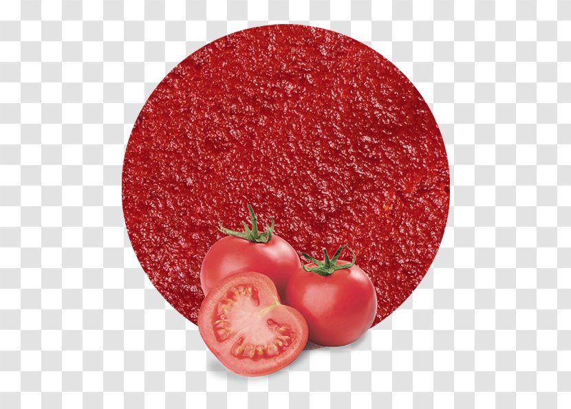 Tomato Concentrate Apple Juice Vegetable - Sauce Transparent PNG