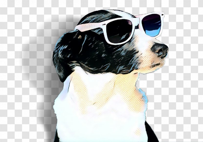 Cool Border - Puppy - Collie Sporting Group Transparent PNG
