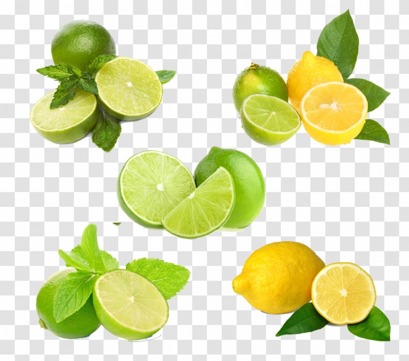 Lemon-lime Drink Key Lime Fruit - Mint - Lemon HQ Pictures Transparent PNG